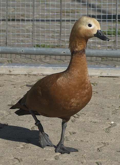 尤其是在關
