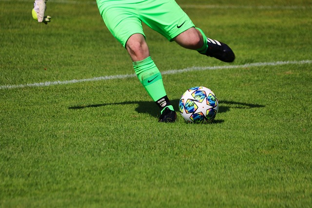 引入的球员 引入的球员