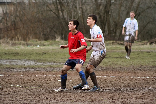 未来的可能 未来的可能