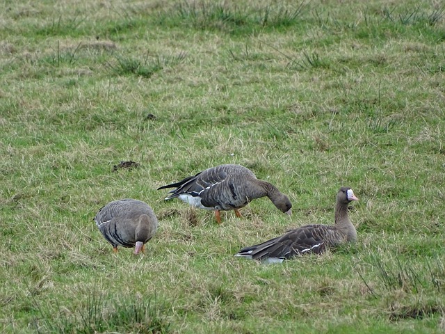 工程正是这 工程正是这